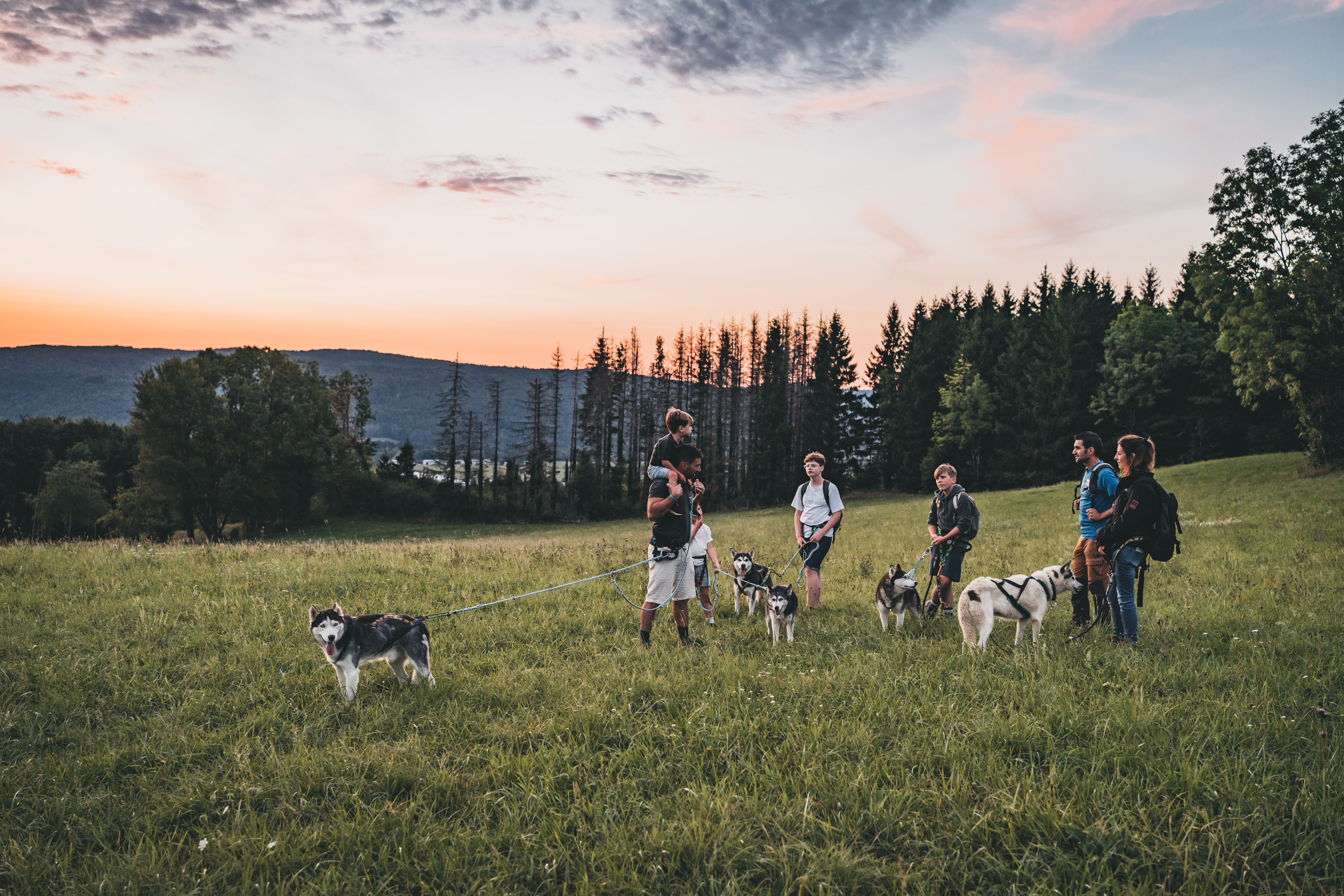 cani-randonnée nocturne