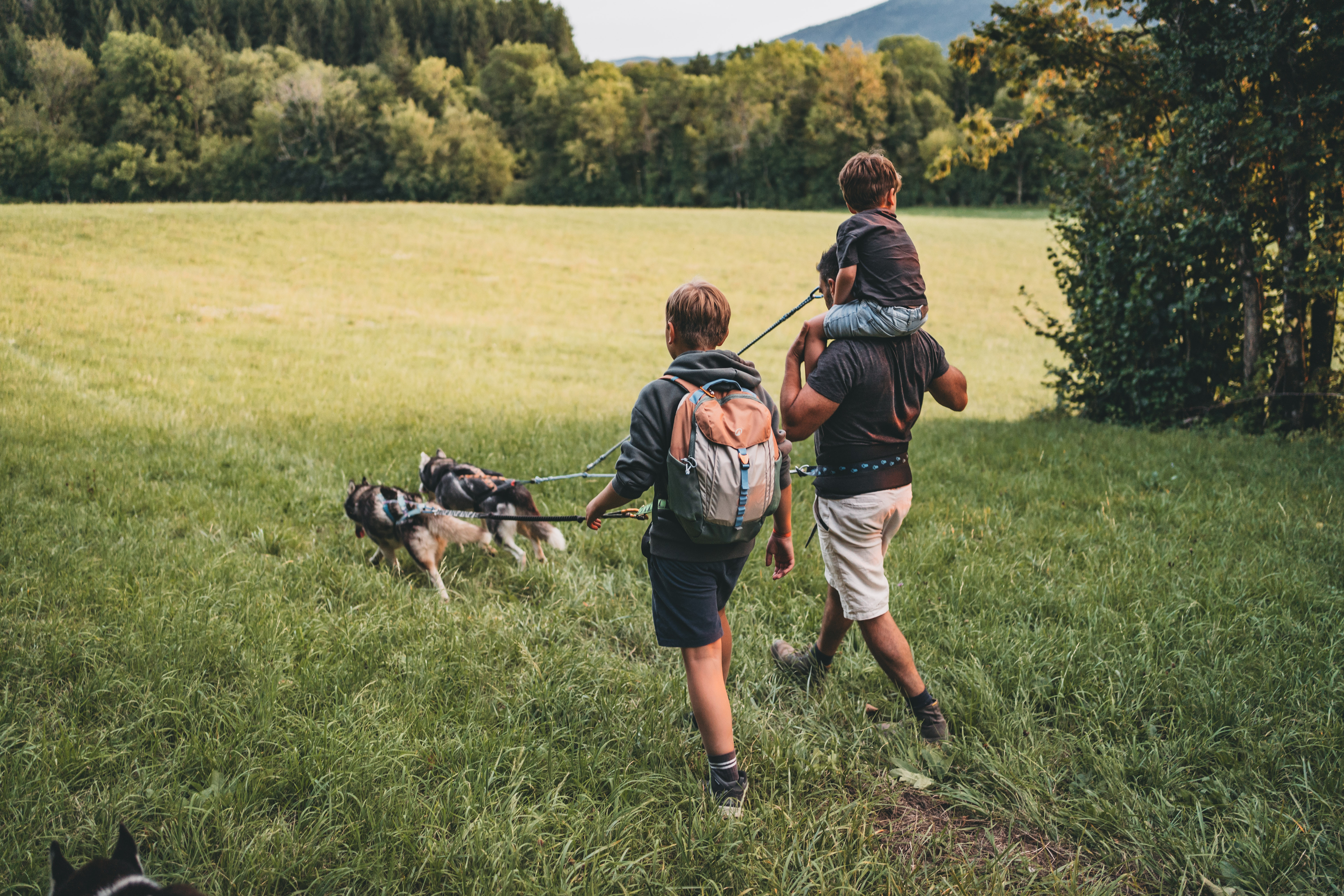 cani-randonnée